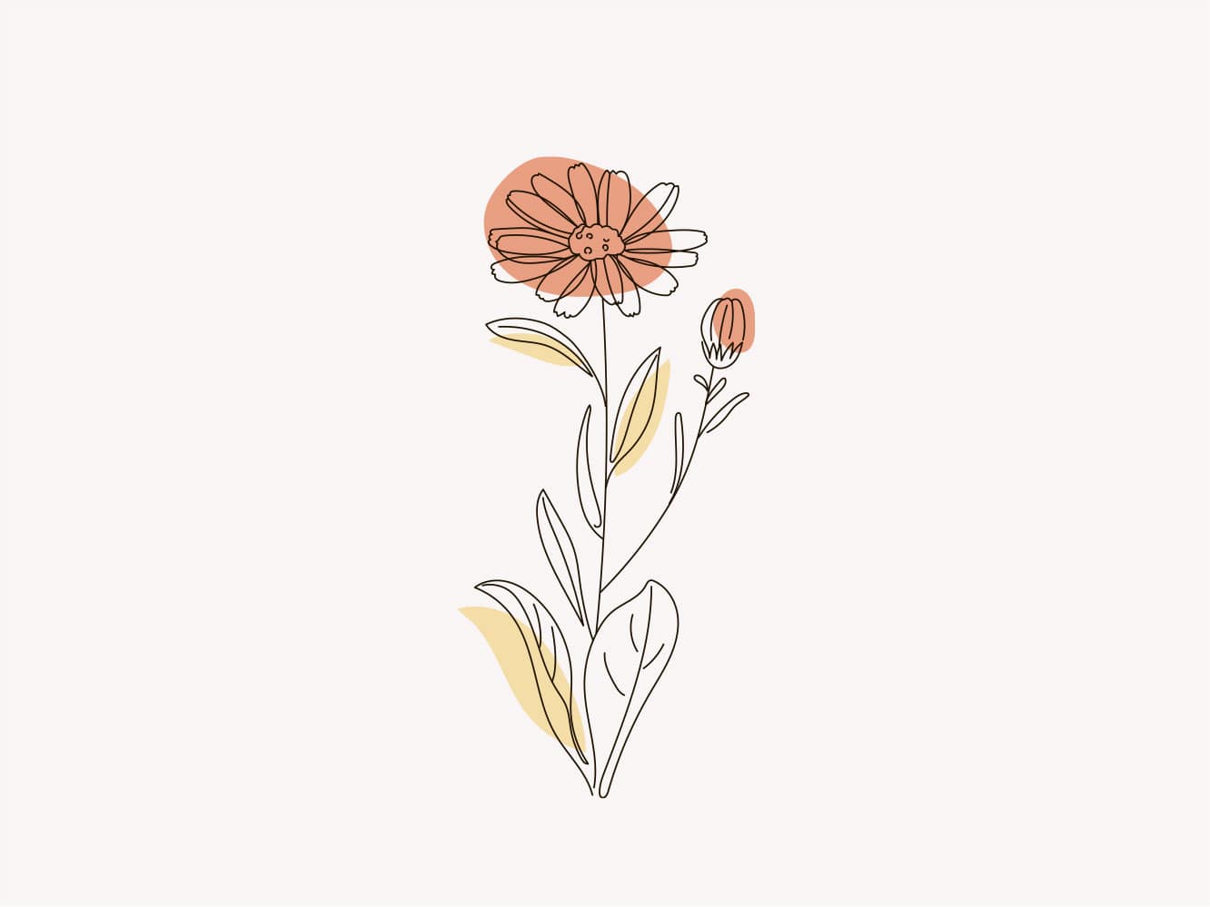 proj-10